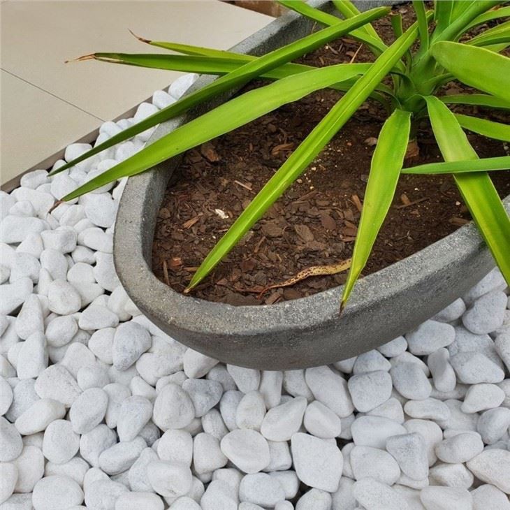 White marble pebbles for garden